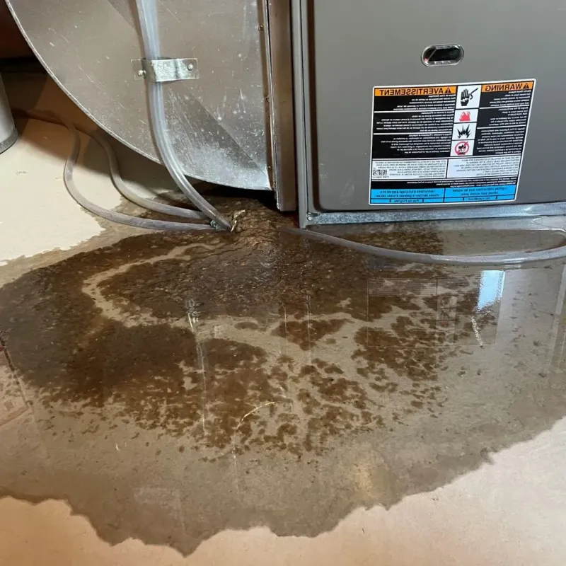Pipe Burst and Leak Restoration in Framingham Center, MA